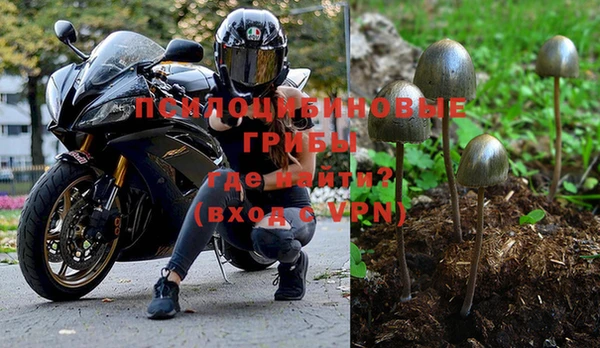 не бодяженный Дмитров