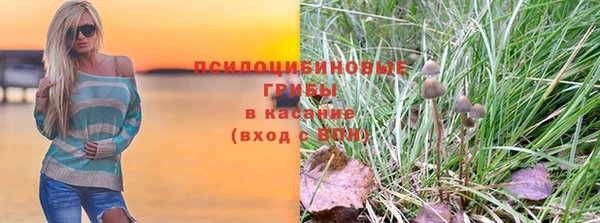 бутират Ельня