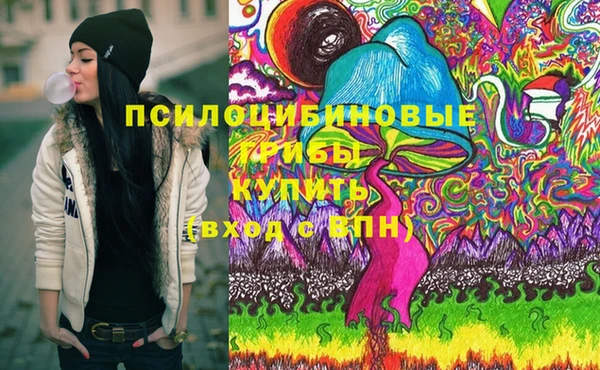 spice Елизово